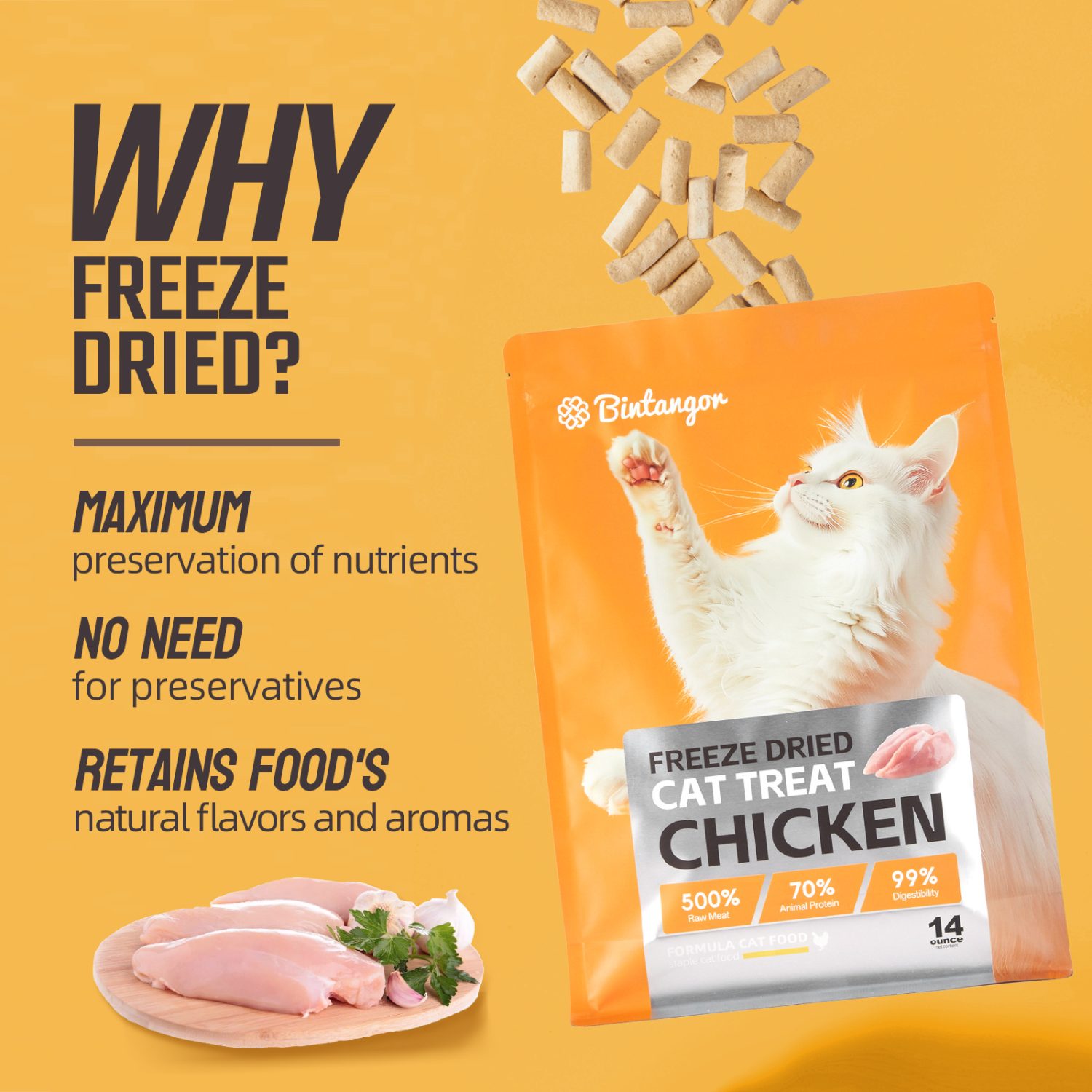 Chicken Formula Freeze-Dried Cat Food M (397g)