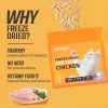 Chicken Formula Freeze-Dried Cat Food M (397g)