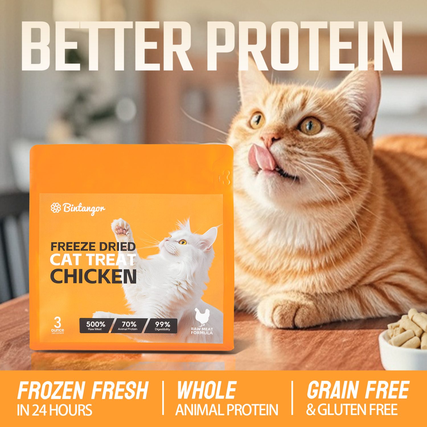 Chicken Formula Freeze-Dried Cat Food S (85g)