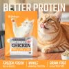 Chicken Formula Freeze-Dried Cat Food M (397g)