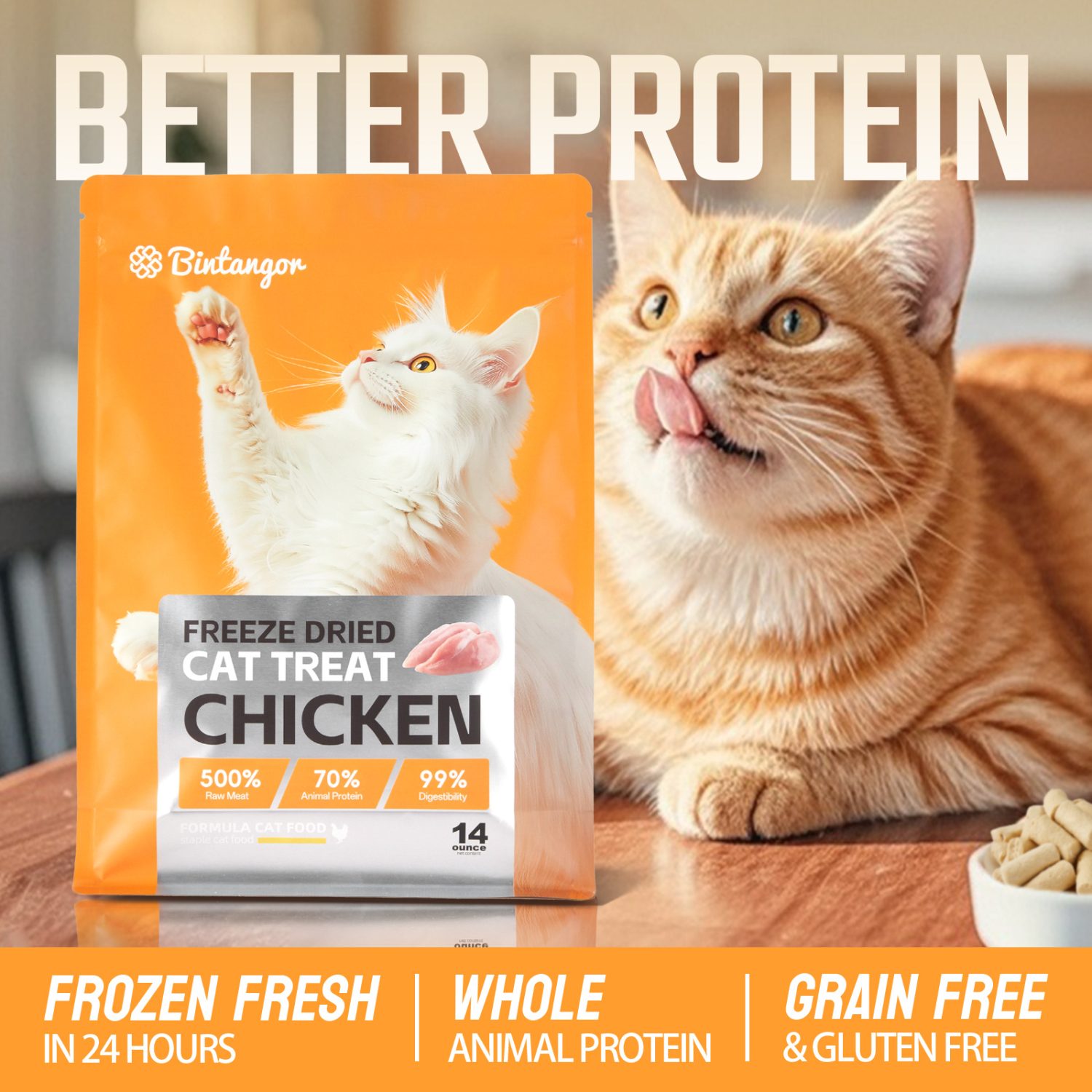 Chicken Formula Freeze-Dried Cat Food M (397g)