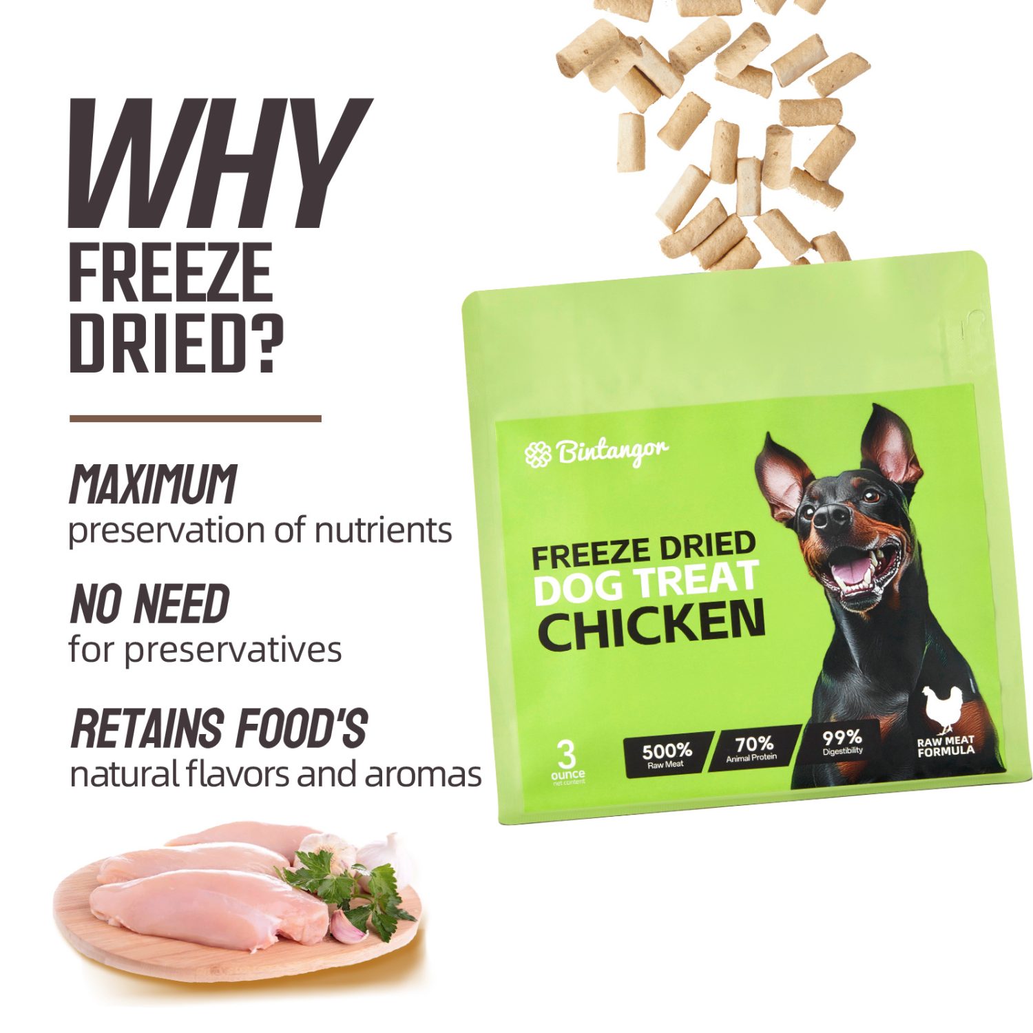Chicken Formula Freeze-Dried Dog Food M (397g)