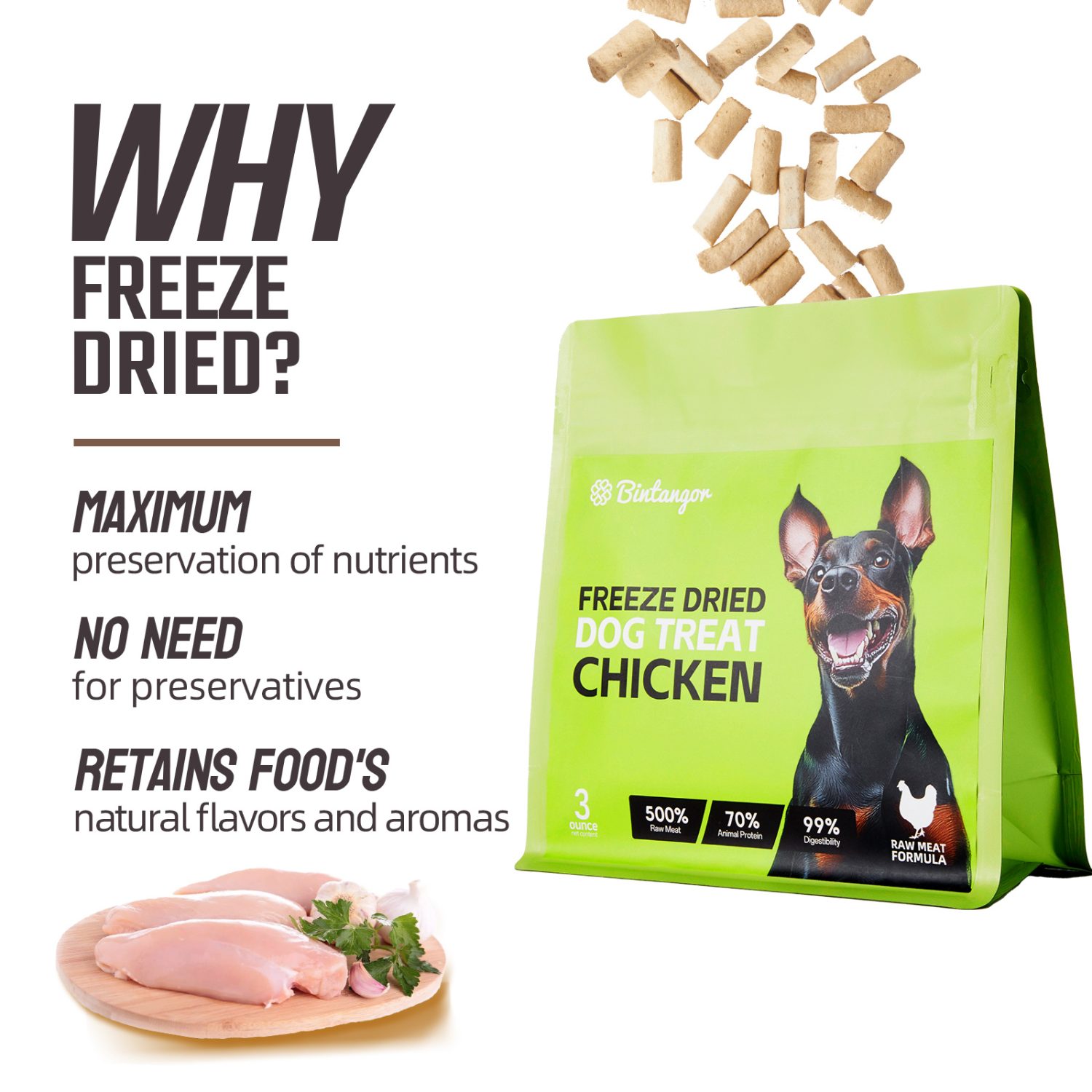 Chicken Formula Freeze-Dried Dog Food S (85g)