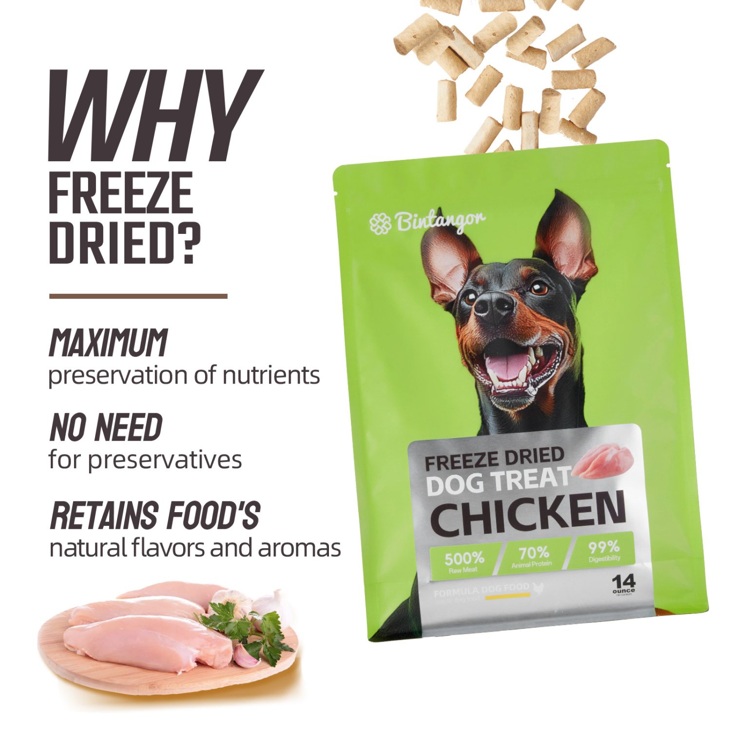 Chicken Formula Freeze-Dried Dog Food M (397g)
