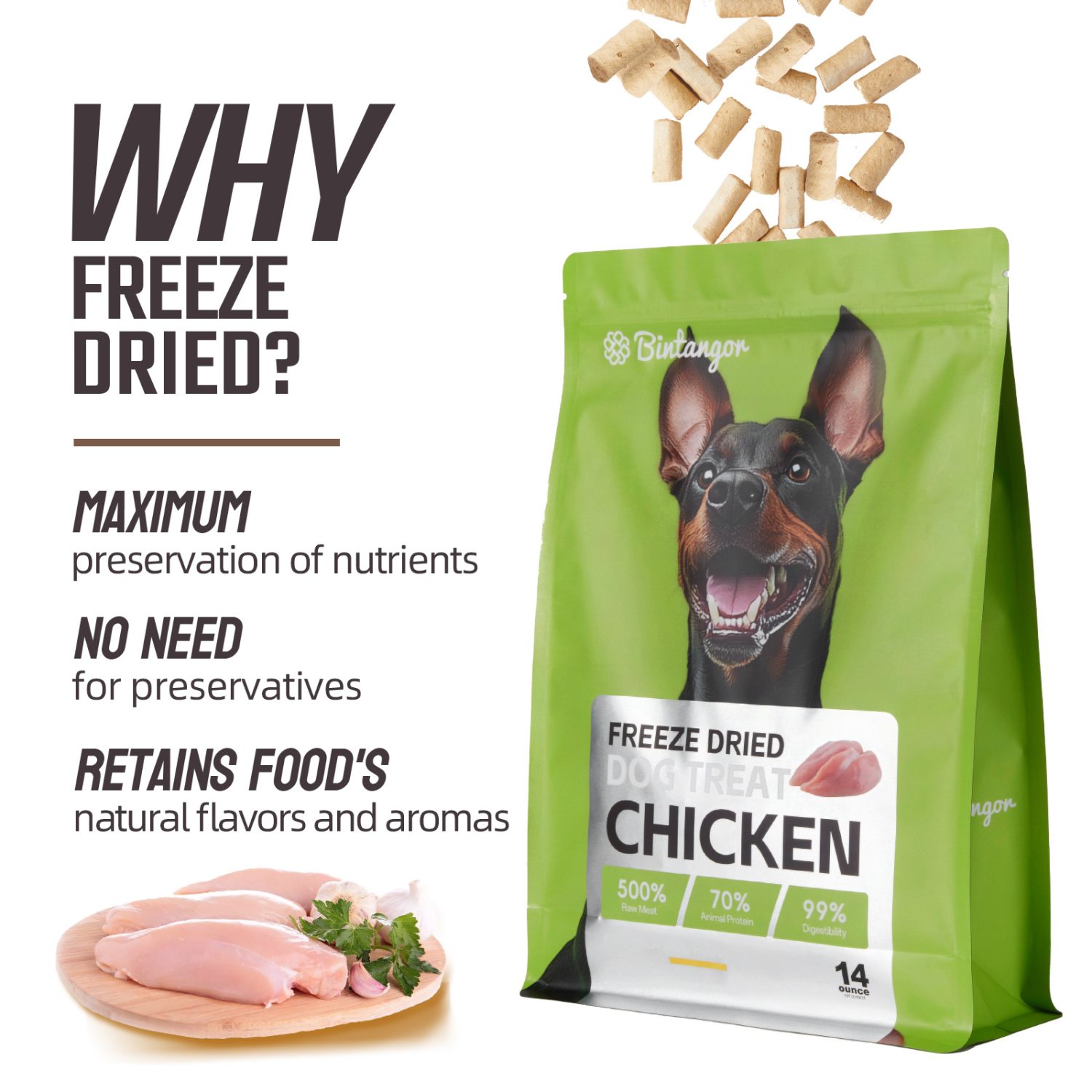 Chicken Formula Freeze-Dried Dog Food M (397g)