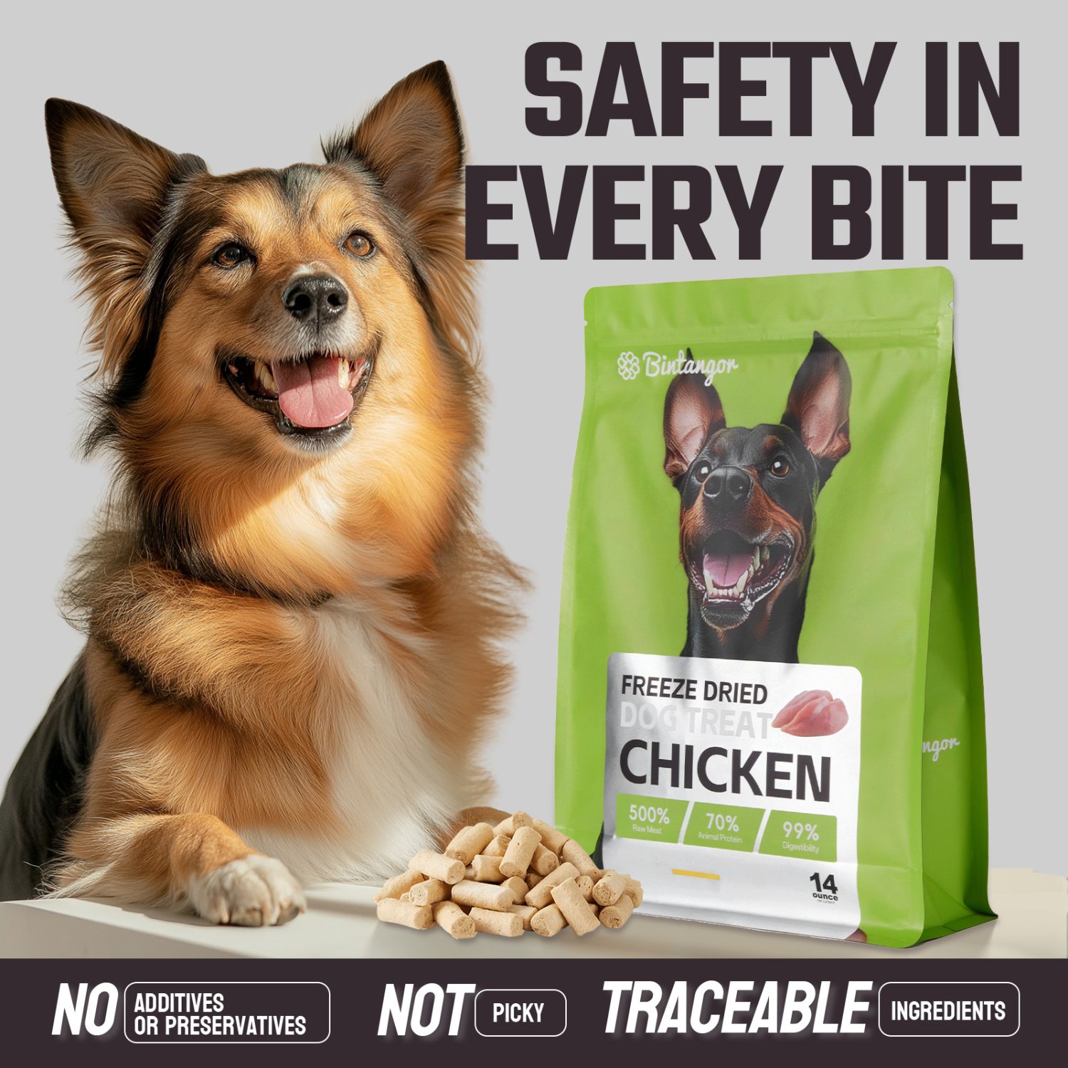 Chicken Formula Freeze-Dried Dog Food M (397g)