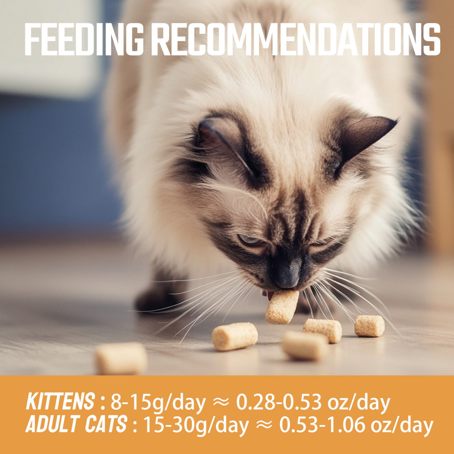 Multivitamin Calcium Raw Bone Meat Freeze-dried Cat Food M (397g)