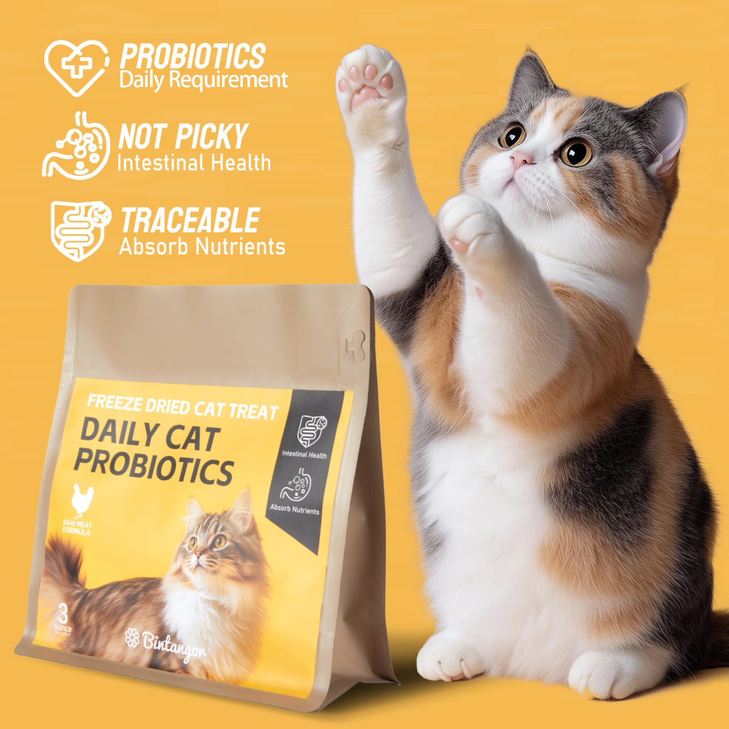 Multivitamin Calcium Raw Bone Meat Freeze-dried Cat Food S (85g)