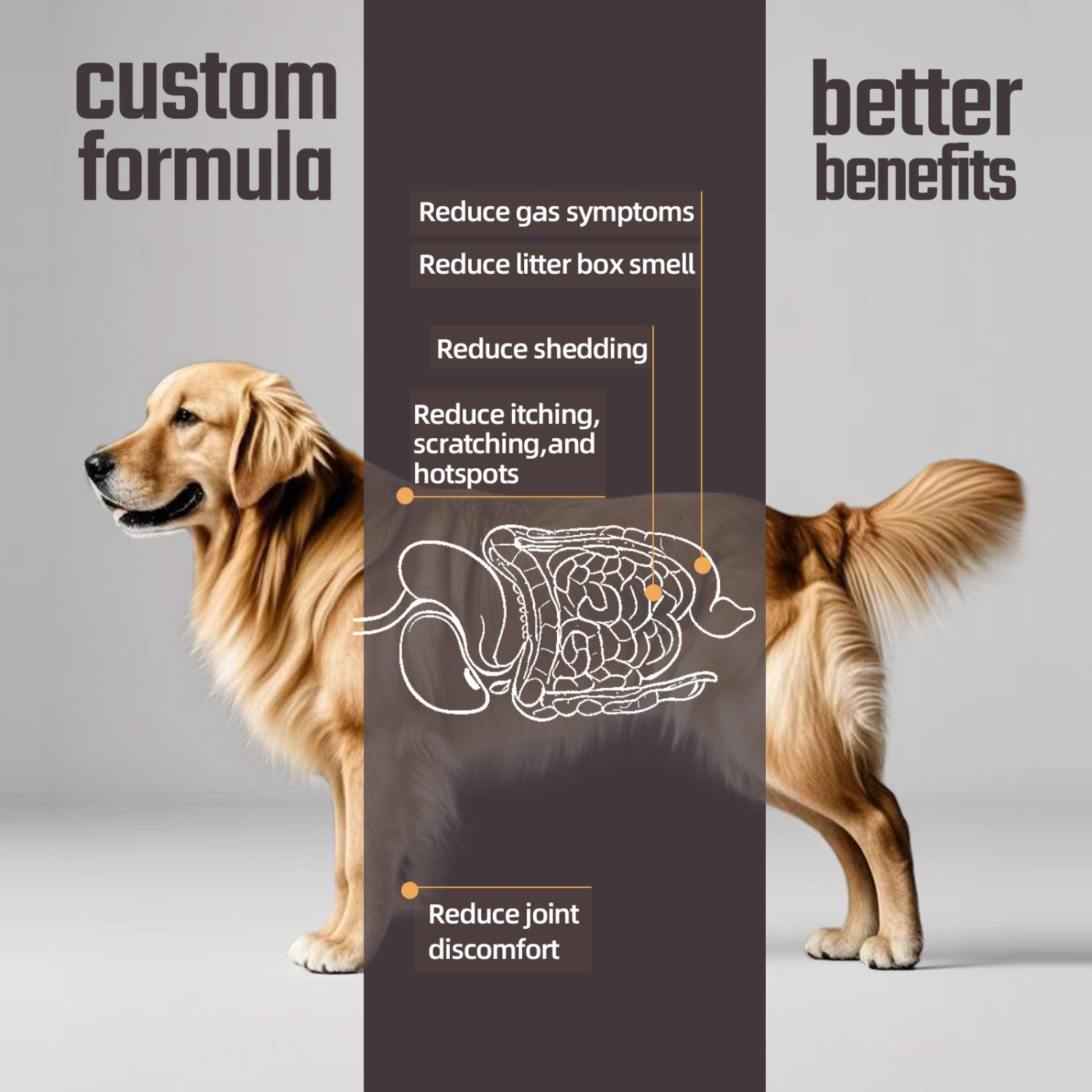 Multivitamin calcium raw bone meat freeze-dried dog food S (85g)