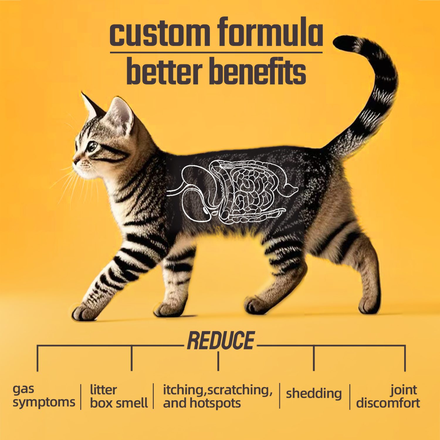 Probiotics Raw Bone and Meat Freeze-dried Cat Food M (397g)