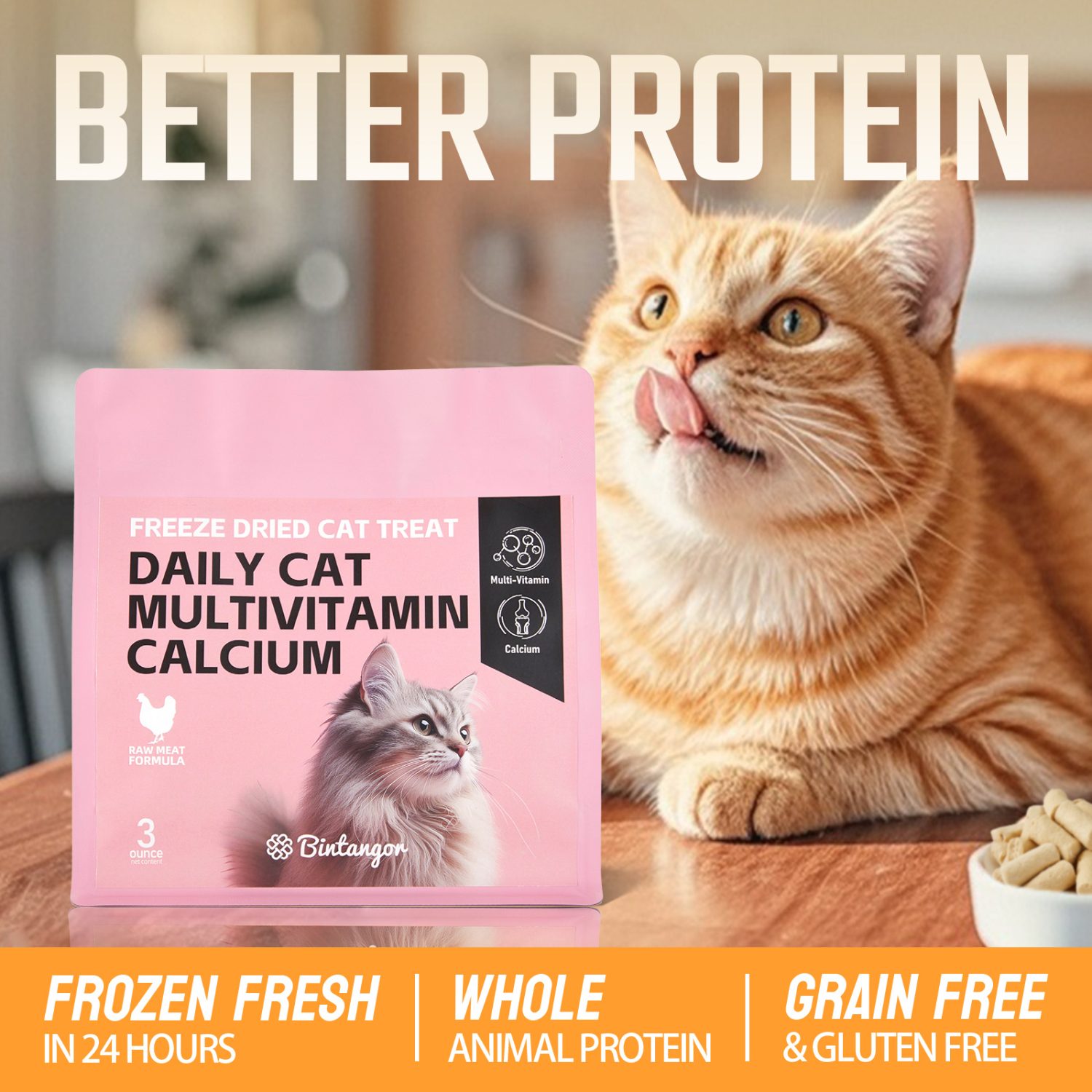 Probiotics Raw Bone and Meat Freeze-dried Cat Food S (85g)