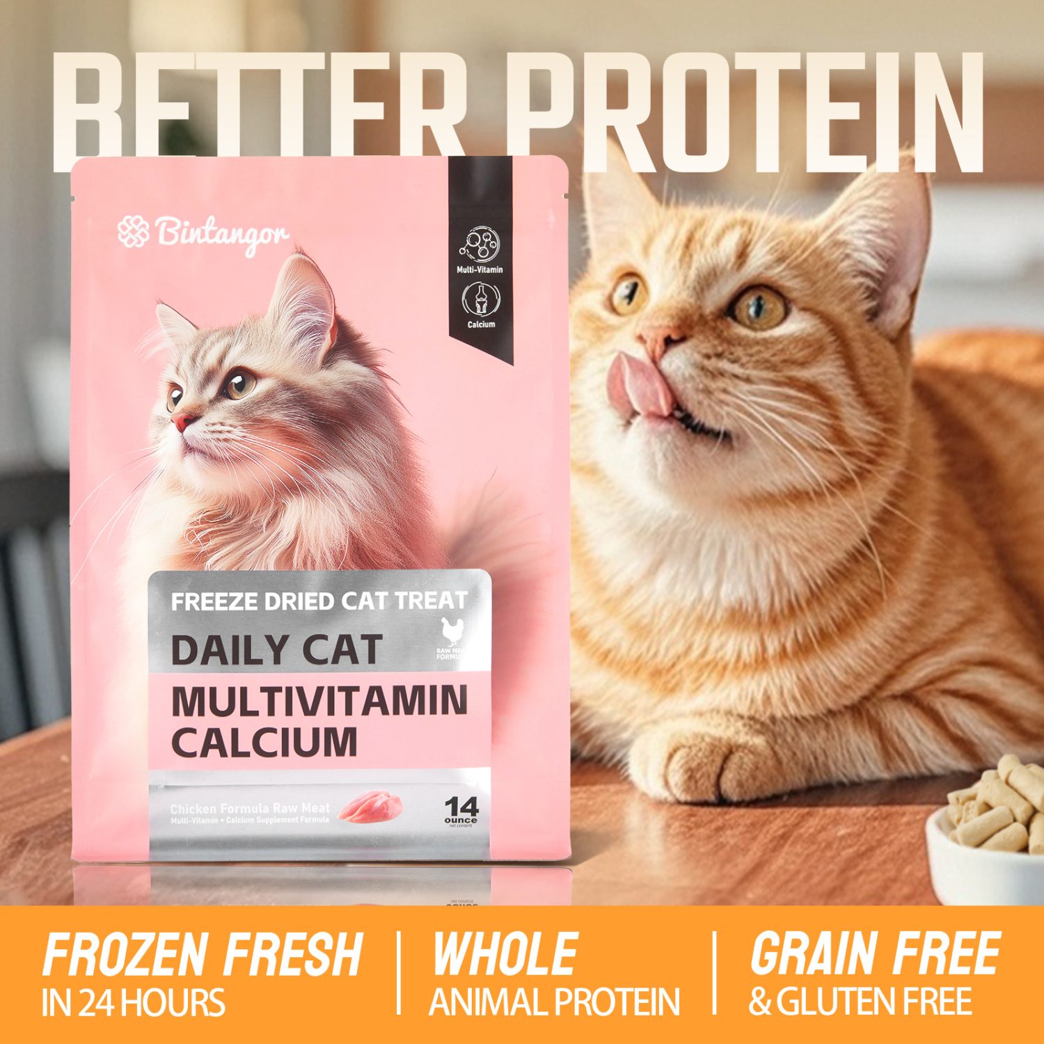 Probiotics Raw Bone and Meat Freeze-dried Cat Food M (397g)